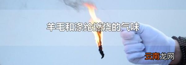 羊毛和涤纶燃烧的气味