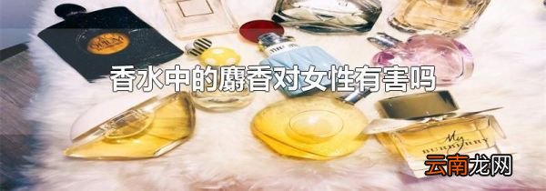 香水中的麝香对女性有害吗