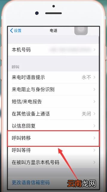 苹果手机出现打不进来电话详细解决方法