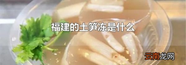 福建的土笋冻是什么