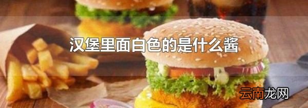 汉堡里面白色的是什么酱
