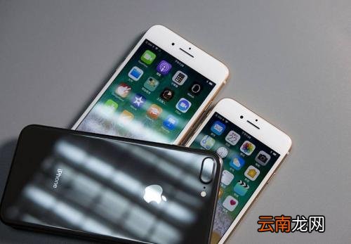 苹果手机中查看剪切板记录具体操作步骤