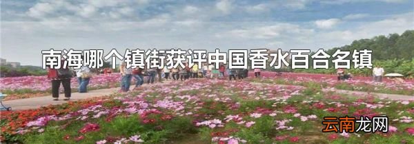 南海哪个镇街获评中国香水百合名镇