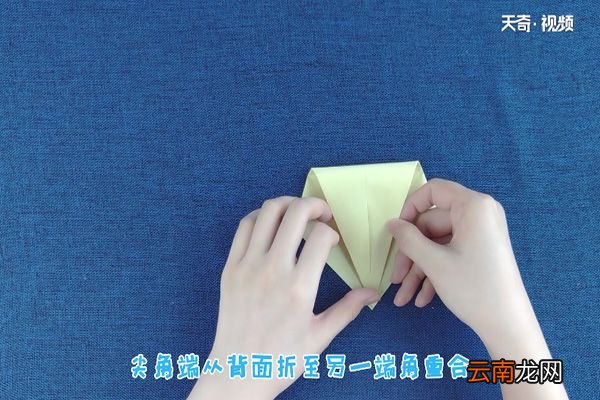 海狗怎么折
