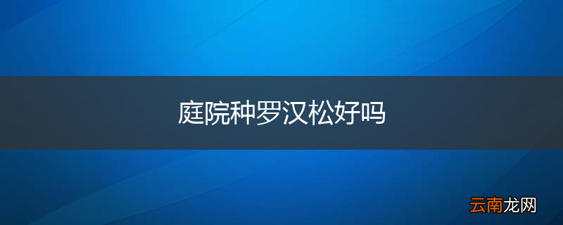 庭院种罗汉松好吗