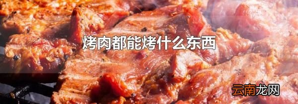 烤肉都能烤什么东西