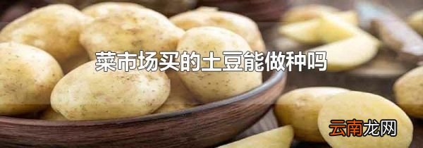菜市场买的土豆能做种吗