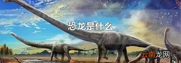 恐龙是什么