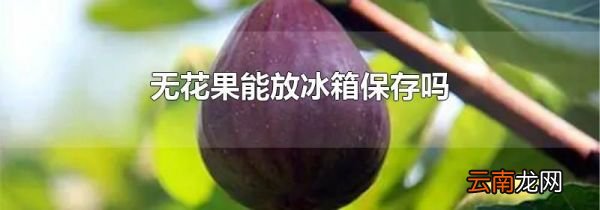 无花果能放冰箱保存吗