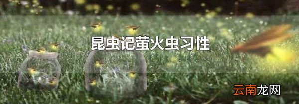 昆虫记萤火虫习性