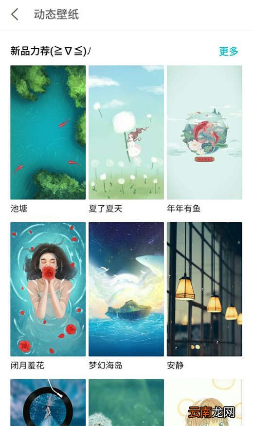 魅蓝6t中设置动态壁纸的方法介绍
