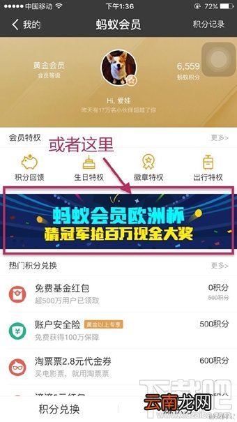 欧洲杯百万现金活动怎么参加 蚂蚁会员欧洲杯竞猜活动参加步骤