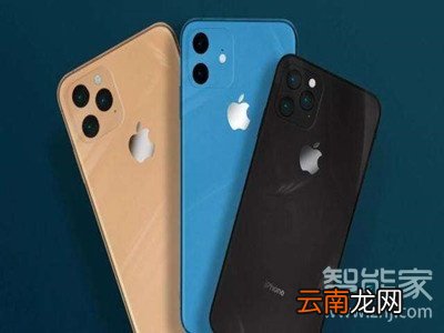 iphone11pro有没有指纹解锁