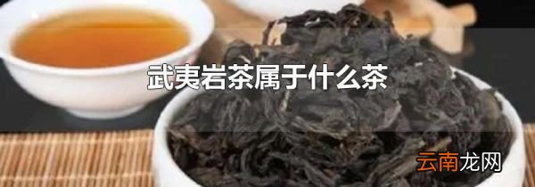 武夷岩茶属于什么茶