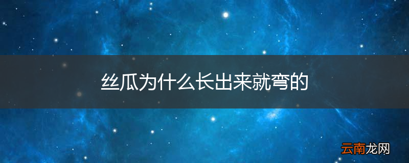 丝瓜为什么长出来就弯的