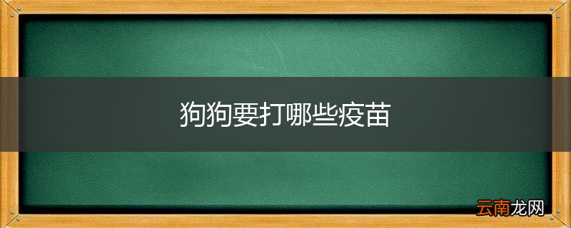 狗狗要打哪些疫苗
