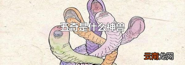 五奇是什么神兽