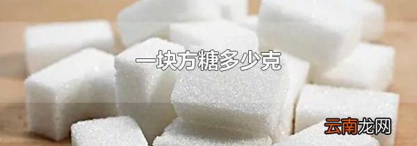 一块方糖多少克