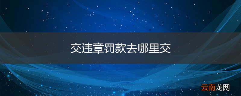 交违章罚款去哪里交