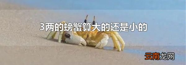 3两的螃蟹算大的还是小的