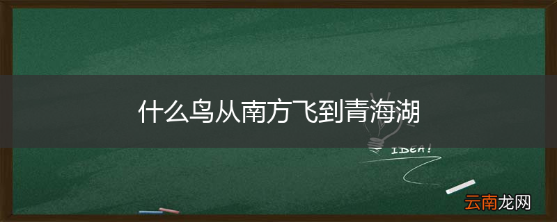 什么鸟从南方飞到青海湖