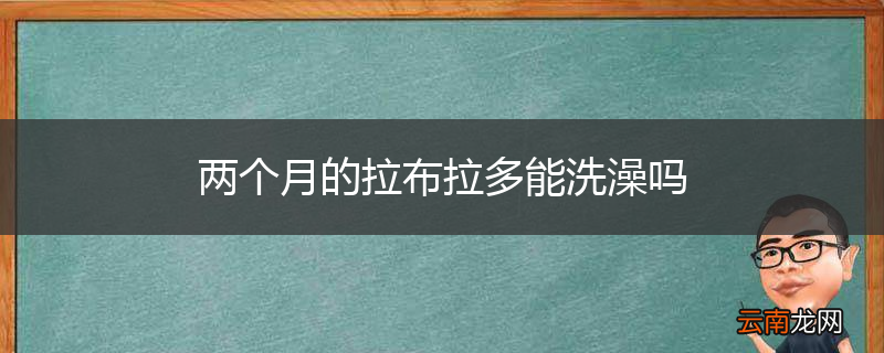 两个月的拉布拉多能洗澡吗