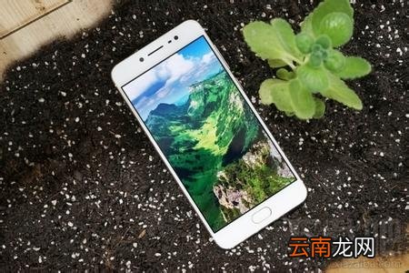 vivo x7和vivo X7 plus区别是什么 vivo x7和X7 plus区别对比分析