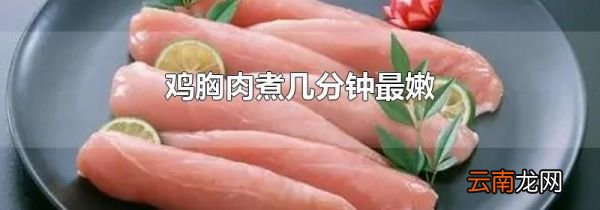 鸡胸肉煮几分钟最嫩