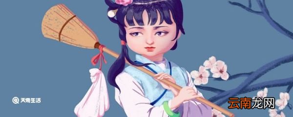 葬花吟表达了什么情感 葬花吟这首歌表达了什么情感