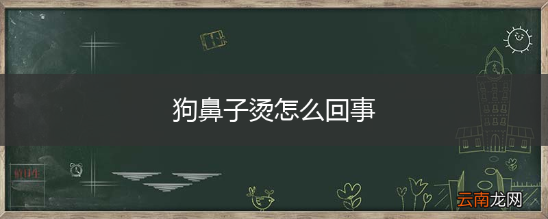 狗鼻子烫怎么回事