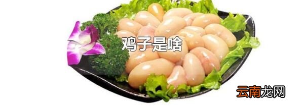 鸡子是啥