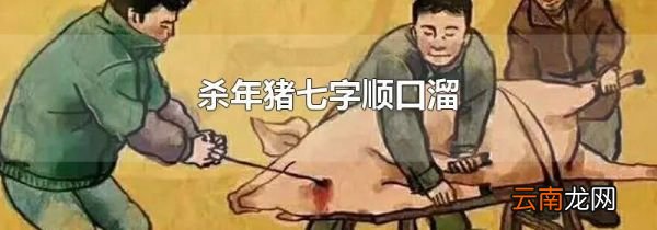 杀年猪七字顺口溜