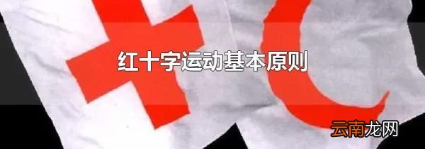 红十字运动基本原则