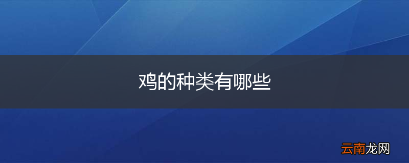 鸡的种类有哪些
