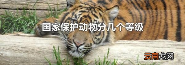 国家保护动物分几个等级