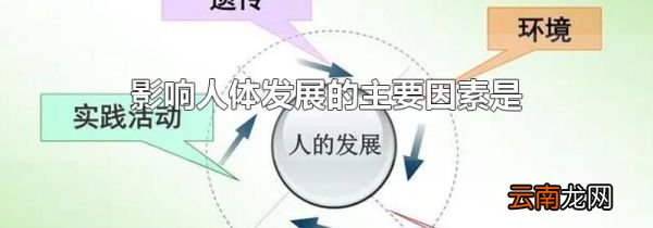 影响人体发展的主要因素是