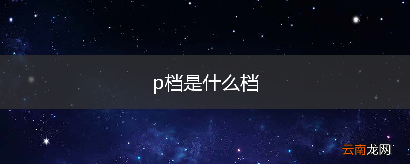 p档是什么档
