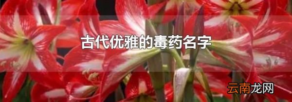 古代优雅的毒药名字