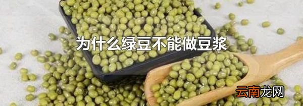 为什么绿豆不能做豆浆
