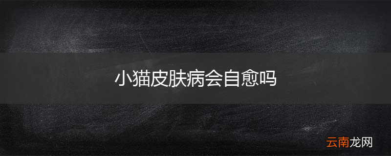 小猫皮肤病会自愈吗