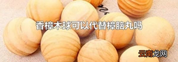 香樟木球可以代替樟脑丸吗