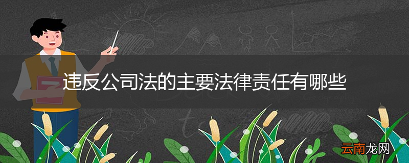 违反公司法的主要法律责任有哪些