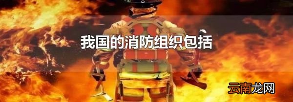我国的消防组织包括