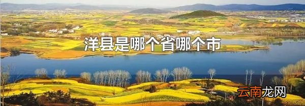 洋县是哪个省哪个市