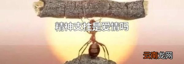 精神支柱是爱情吗