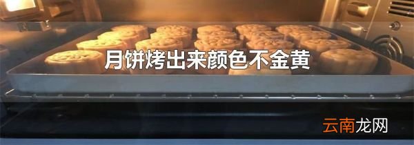 月饼烤出来颜色不金黄