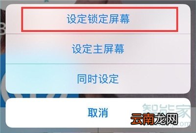 iphone11pro怎么设置动态壁纸