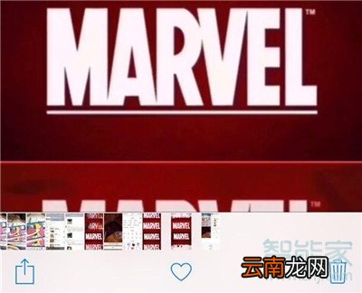 iphone11pro怎么设置动态壁纸