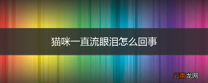 猫咪一直流眼泪怎么回事