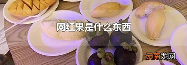 网红果是什么东西